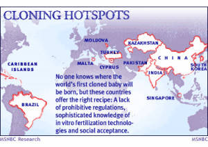 Cloning hot spots - Experts say, these countries offer the right ...