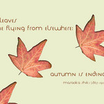 fallen Leaves with quote by Masaoka Shiki - Fallen leaves come flying ...