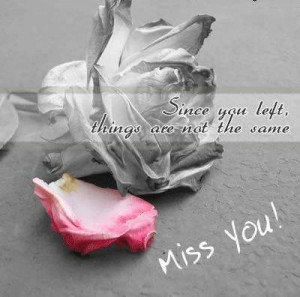 your ecards missing you quotes for him miss you missing rose