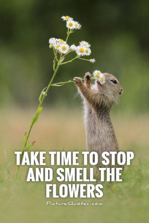 Take time to stop and smell the flowers Picture Quote #1