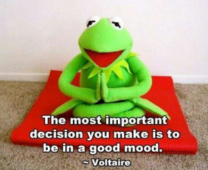 Voltaire quotes. Kermit the Frog.