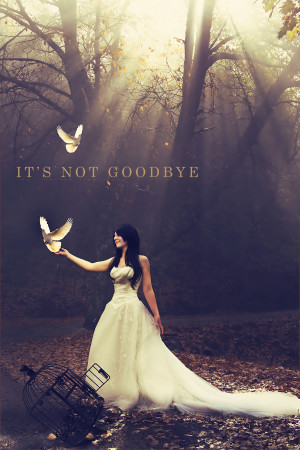 It's Not Goodbye by NoorL3yoon
