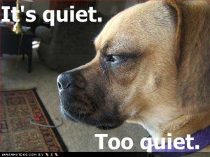 funny-dog-pictures-quiet-too-quiet.jpg