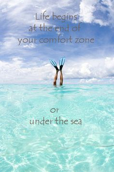 ... zone or under the sea. l Beach Quotes l www.CarolinaDesigns.com