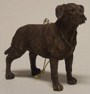 JOSEPH WARREN MILLER It's Raining Cats & Dogs STOCK