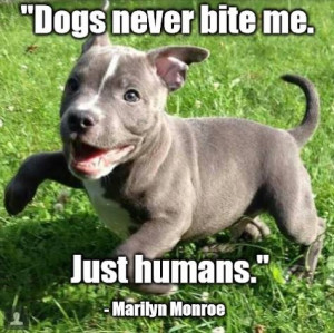 Dogs never bite me. Just humans.”