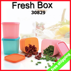 FREE SHIPPING Mini Food Box Fresh Small StorageGrade Snacks Heatable ...