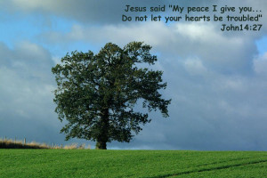 Thou wilt keep him in perfect peace, whose mind is stayed on thee ...