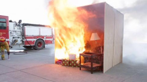 Christmas Tree Fire Safety...