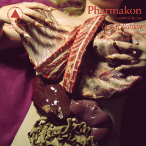 Pharmakon Announces New Album Bestial Burden