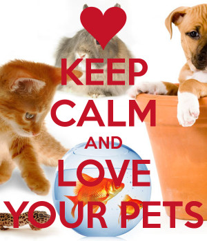 KEEP CALM AND LOVE YOUR PETS