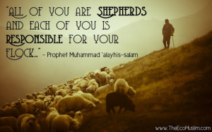 ... my flock. Lessons from being a shepherd (Ra'ee) of sheep and people