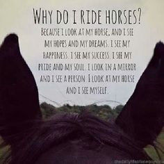 Equestrian Quotes~