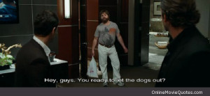 Funny movie quote by Allan on The Hangover .