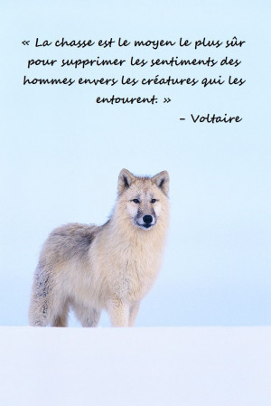 Quote – Voltaire: 