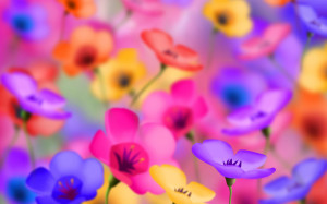 Colorful Flowers - Wallpaper #215