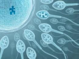 What to know when trying to conceive - When sperm is a fertility issue ...