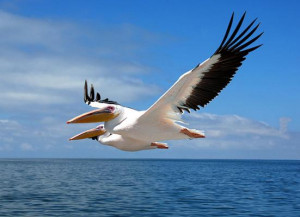 Concours « La meilleure photo »: Courez la chance de gagner appareil ...