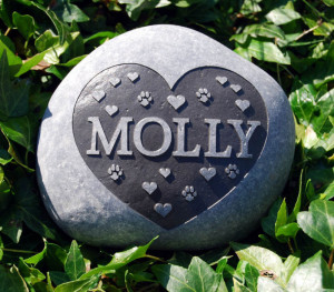 ... quotes, life quotes ,friendship quotes , funny quotes , love quotes