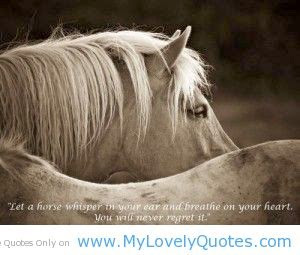 Horse Quotes & Cowgirl Quotes