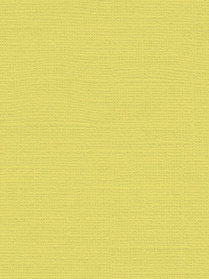 ... Cardstock - My Mind's Eye - 8.5 x 11 Canvas Cardstock - Yellow Corn