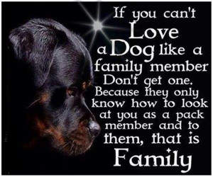For our furry members of the family
