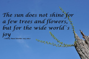 beauty of nature quotes and sayings