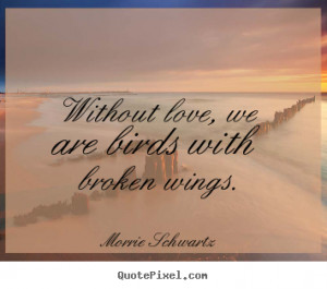 ... sayings about love - Without love, we are birds with broken wings