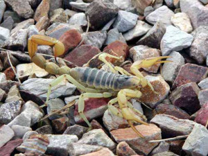 Thread: That just happened...