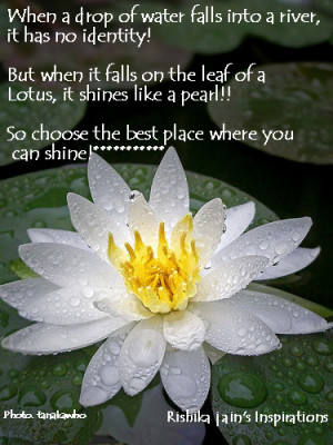 Choose the Best Place where you can shine..... | Inspirational Quotes ...