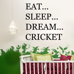 ... CRICKET sports player bedroom mens boys wall stickers quote | eBay