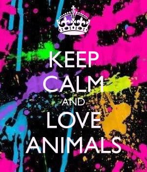 KEEP CALM AND LOVE ANIMALS