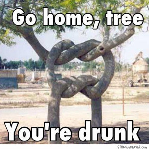 ... Pictures get drunk they said funny pictures funny quotes photos