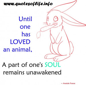 ... animal-a-part-of-ones-soul-remains-unawakened-Anatole-France-animal