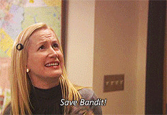 1k rainn wilson dwight schrute Ed Helms Andy Bernard Toby Flenderson ...