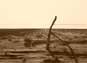 Dust Bowl days near Dalhart, Texas , 1938, Dorothea Lange .