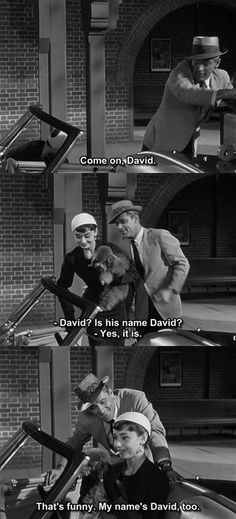 Sabrina 1954 Quotes Sabrina (1954) with audrey