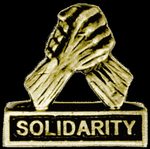 ... - and the pulling together to pull everyone up is called solidarity