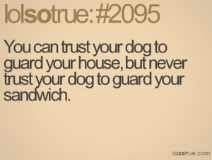 Funny Dog Quotes About Food Dog, guard, pet and