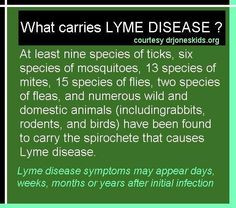 Lyme Disease ...Do i have it?