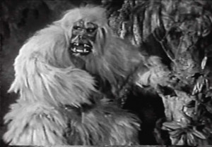 Ape Scary Monsters