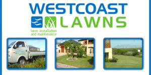 West Coast Lawns | Landscape Cape Town
