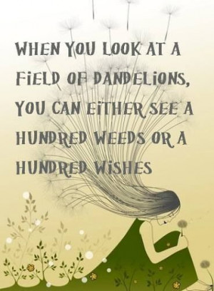 ... of dandelions, you can either see a hundred weeds or a hundred wishes