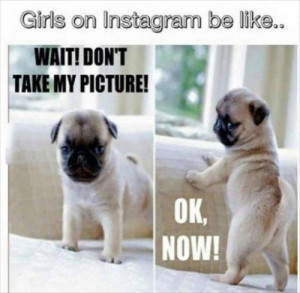 girls on instagram be like. funny pug on instagram