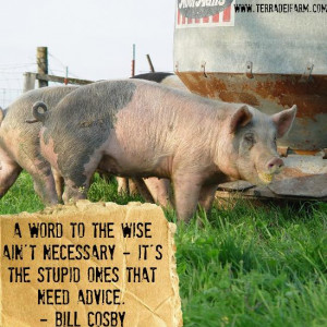 Aristotle Excellence Quote Terra Dei Farm