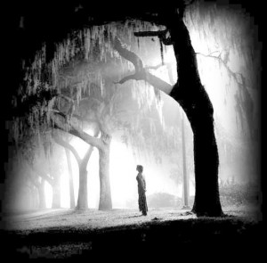 Posted by sheikh sufyan at 12:58