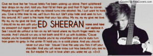 Ed Sheeran - Give Me Love, Wake Me Up Profile Facebook Covers