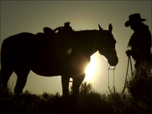 Cowboy With His Horse At Sunset Ponderosa Ranch Oregon Usa picture