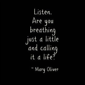 These are priceless! Mary Oliver Quotes