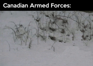 funny-picture-canadian-armed-forces